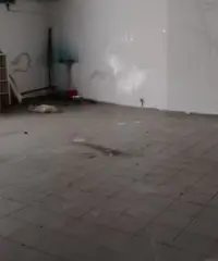 S.G.La Punta centro bottega di 140 mq su 2 livelli