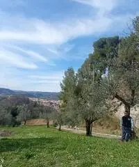 Salve sono martino di Ascoli piceno marche Salve sono martino di Ascoli piceno marche