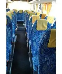 >Temsa opalin
