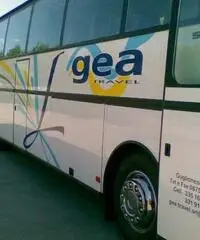 SETRA 215 HD '91 366 CV SETRA 215 HD '91 366 CV