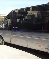Minibus Sprinter 416 cdi