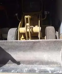 PALA GOMMATA VENIERI 6.23