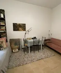 Camera singola