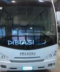 ISUZU TOURQUISE