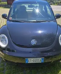 VW New Beetle