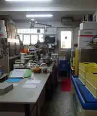 Attivita' bar pasticceria Attivita' bar pasticceria