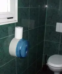 Borgomanero