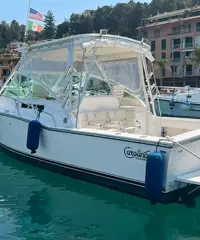 Carolina classic 28 con 2x260 Volvo penta d4