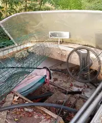 Barca più carrello