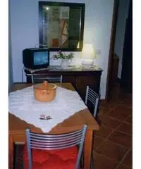 Deliziosa stanza singola