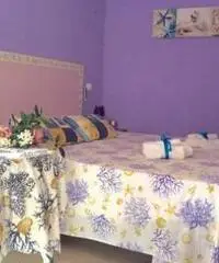 AFFITTO CAMERE IN BED AND BREACFST A TERRACINA