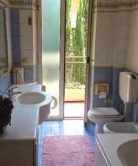 EUR centrale, ampia STANZA con bagno