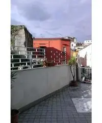 Fittasi stanza