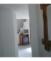 Fittasi stanza