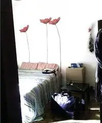 Ampia Singola Affittasi