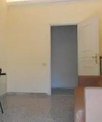 Studenti 5 stanze vicinanze universit#224;