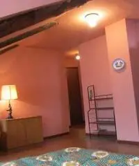 Torino Affitto Attico