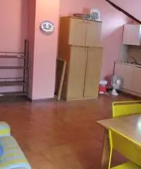 Torino Affitto Attico