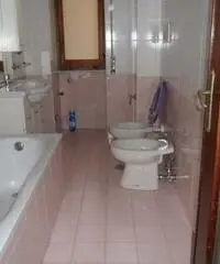 Appartamento in Affitto - zona Pianura