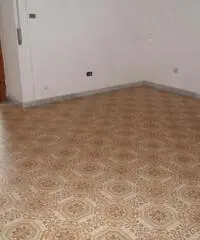 Appartamento in Affitto - zona Pianura