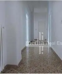 Appartamento in Affitto - zona roma Appartamento in Affitto - zona roma