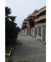 Box in zona Ostia, Ostia antica a Roma 13mq Box in zona Ostia, Ostia antica a Roma 13mq