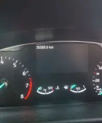 Fiesta active full 1.0