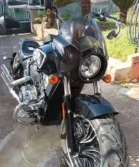 Indian Scout - 2022