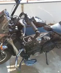 Indian Scout - 2022