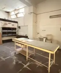 attivita' e lic.commerciale siracusa