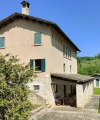 AZIENDA AGRICOLA AZIENDA AGRICOLA