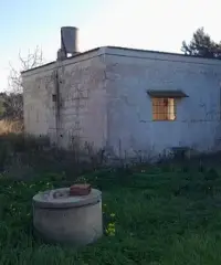 Terreno edificio