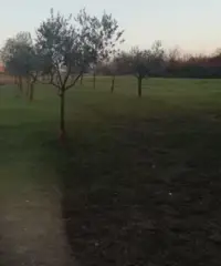 Terreno agricolo