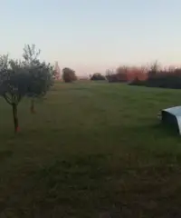 Terreno agricolo