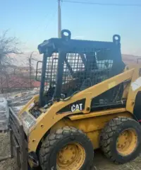 Minipala caterpillar