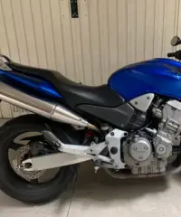 Hornet 900