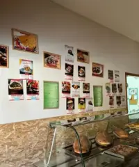 Attivitá ventennale