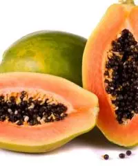 Piante papaya
