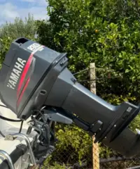 FISHERMAN open 4,60 compresa di carrello