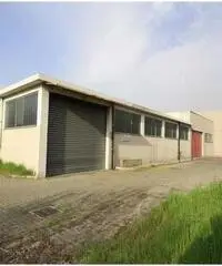 Capannone in Affitto di 4.000mq