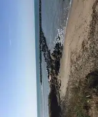 Affitto lotto di terreno