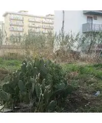 Terreno di 1277 mq uso deposito zona settecannoli Terreno di 1277 mq uso deposito zona settecannoli