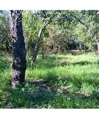 Acireale: Terreno Altro Acireale: Terreno Altro