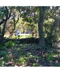Acireale: Terreno Altro Acireale: Terreno Altro