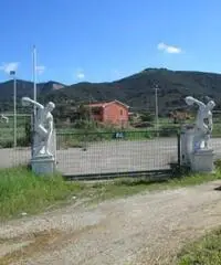 Terreno in Affitto di 2.000mq