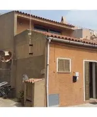 Santa Teresa Gallura: Appartamento Monolocale 45mq Santa Teresa Gallura: Appartamento Monolocale 45mq