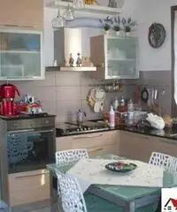 Crespina: Appartamento Monolocale Crespina: Appartamento Monolocale