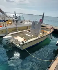 Barca a motore