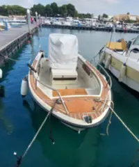 Barca a motore
