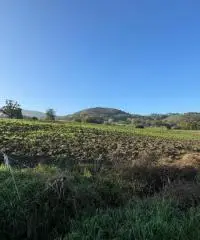 Terreno edificabile per villa mono/ bifamiliare a Tordenaso